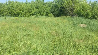 Земельный участок 625 кв. м. Кадастровый номер: 02:27:070201:128. Для ведения личного подсобного хозяйства. Адрес: Республика Башкортостан, р-н. Илишевский, с/с. Исаметовский, д. Турачи, ул. Авеште, д. 8.