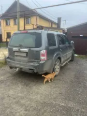 Honda Pilot 2008 года, 257 л.с., пробег 631 847 км. VIN: 5FNYF48809B403858.