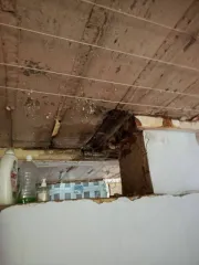 Доля дома и участка 742 м² в Пензенской области: 1/4 доля дома и 1/4 доля земельного участка. Земельный участок, кадастровый номер 58:22:0420202:48, вид разрешенного использования под индивидуальную жилую застройку. Местоположение установлено относительно ориентира: Пензенская область, Никольский…