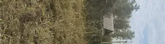 Земельный участок с кадастровым номером 72:01:0104001:594, площадью 493 +/  16 кв. м, расположенный по адресу: Тюменская область, Абатский район, территория СНТ «Строитель», ул. № 7, участок 18, с расположенным на нем кирпичным строением  дачный дом  площадью 16 кв. м. Земельный участок с…