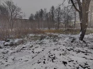 Аренда земельного участка, находящегося в муниципальной собственности, местоположение: Российская Федерация, Владимирская область, р-н Петушинский, МО, п. Вольгинский (городское поселение),  п. Вольгинский, кадастровый номер 33:13:050201:3818 Аренда земельного участка, находящегося в муниципальной…