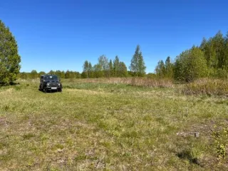 Земельный участок площадью 1891389 кв.м., кад. № 12:03:0202001:73, расположенный по адресу: РМЭ, Килемарский район, в восточной части кад.квартала №12:03:0202001 Вид разрешённого использования земельного участка: 1.0