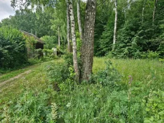 Земельный участок 1200 кв.м, КН 50:33:0030429:748, площадь 1200, кадастровый номер 50:33:0030429:748, основной вид разрешенного использования 2.2