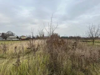 Земельный участок 1000 кв.м, Московская область. Кадастровый номер 50:39:0080201:1013. Вид разрешённого использования земельного участка: 2.2.