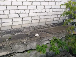 Незавершенное строительство 1327.7 кв.м в Ульяновской области. Объект незавершённого строительства площадью 1 327,7 кв. м с кадастровым номером 73:24:030101:7623, расположенного по адресу: Ульяновская область, г. Ульяновск, Засвияжский район, ш. Московское, д. 52А. Предельные параметры застройки…