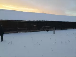 1.Здание учебного корпуса №2,  площадь 932,3 кв.м. кадастровый номер: 38:10:000000:599;2. Здание склада хозяйственных товаров, площадь 283,1 кв.м., кадастровый номер: 38:10:000000:605;3. Помещение, назначение: нежилое, площадь 40,4 кв.м., кадастровый номер: 38:10:000000:2133;4. Помещение…