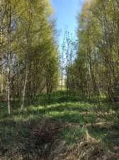 Земельный участок, 76:09:093401:2343, Ярославская обл., Некрасовский р-н, с/о Климовский, 1534 +/-27 кв.м.