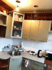 Квартира 30.9 кв.м. Адрес: Россия, Иркутская область, г. Братск, жилрайон Центральный, ул. Обручева, дом 8, квартира 17. Кадастровый номер: 38:34:013701:1407.