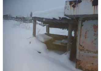 Жилой дом, площадь 30.8 кв.м., назначение: Жилое, количество этажей: 1, в том числе подземных 0, адрес: Россия, Свердловская область, г. Верхний Тагил, ул. Фрунзе, дом 112, кадастровый номер: 66:37:0203010:31.