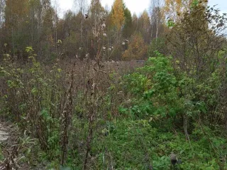 Земельный участок, 142561 кв.м, Кировская область, с/х использование (садоводство) 588/532827 доля земельного участка в Кирове, площадь 142561 +/- 138 кв.м., назначение: Земли населенных пунктов, виды разрешенного использования: сельскохозяйственное использование (коллективное садоводство), адрес…