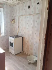 1/3 доли в жилом помещении, 51,9 кв.м, Самарская область, Красноармейский р-н, п. Чапаевский, ул. Приозерная, д. 1, кв. 16, кадастровый номер: 63:25:0101009:1460