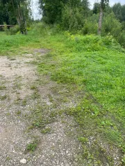 Земельный участок площадью 600 кв.м. Назначение: земли населенных пунктов. Адрес: Россия, Псковская область, Псковский район, деревня Дуброво. Кадастровый номер: 60:18:0110501:490. Ознакомление с имуществом производится с понедельника по пятницу с 09:00 до 18:00 по предварительной договоренности по…