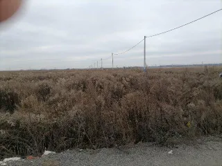 Земельный участок с кадастровым номером 50:29:0050107:1075, площадью 1026 +/- кв.м., по адресу: Московская область, р-н Воскресенский, категория земель: земли сельскохозяйственного назначения, вид разрешенного использования: для дачного строительства. ВНИМАНИЕ ВАЖНАЯ ИНФОРМАЦИЯ: Осмотр имущества…