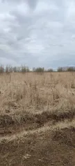 Земельный участок площадью 700 кв.м. Кадастровый номер: 50:23:0050573:1520. Категория земель: земли сельскохозяйственного назначения. Виды разрешенного использования: ведение садоводства. Местоположение: Российская Федерация, Московская область, городской округ Раменский, деревня Аргуново.