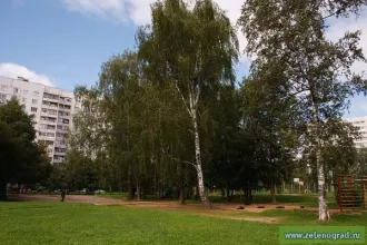1/3 доля квартиры 52,9 кв.м, Москва. 1/3 доля в праве общей долевой собственности на квартиру пл.52,9кв.м по адресу: Российская Федерация, город Москва, вн.тер.г. муниципальный округ Силино, город Зеленоград, корпус 1209, квартира 190, к/н 77:10:0002003:4206. Фотографии имущества судебным…
