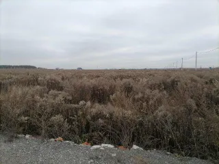 Земельный участок с кадастровым номером 50:29:0050107:1075, площадью 1026 +/- кв.м., по адресу: Московская область, р-н Воскресенский, категория земель: земли сельскохозяйственного назначения, вид разрешенного использования: для дачного строительства. ВНИМАНИЕ ВАЖНАЯ ИНФОРМАЦИЯ: Осмотр имущества…