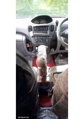 Toyota Funcargo 2000 год, номер кузова NCP250019659.