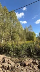 Аукцион в отношении земельного участка с КН 50:33:0020428:1383 Аукцион в отношении земельного участка с КН 50:33:0020428:1383 
Площадь земельного участка: 1296 
Кадастровый номер земельного участка: 50:33:0020428:1383 
Основной вид разрешенного использования: 2.2 
