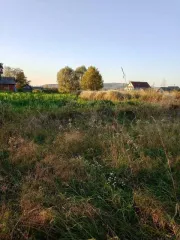 Земельный участок для ведения личного подсобного хозяйства площадью 5821 кв.м. Категория земель: земли населенных пунктов. Адрес (местонахождение): местоположение установлено относительно ориентира, расположенного в границах участка. Почтовый адрес ориентира: Республика Башкортостан, Архангельский…