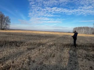 Земельный участок площадью 249530 кв.м для растениеводства. Омская область, Большереченский район, Красноярское сельское поселение. Участок находится примерно в 5750 метрах на северо-запад от деревни Осихино. Кадастровый номер: 55:02:040501:134. Категория земель: сельскохозяйственного назначения…