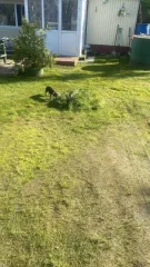 Дом 49 м² и участок 500 м² в Сургуте. Жилой дом: Россия, Ханты-Мансийский АО, г. Сургут, тер ПСК "Хвойный", Кедровая ул, д.56, общей площадью 49 кв. м кадастровый номер:86:10:0101137:403. Земельный участок: Россия, Ханты-Мансийский АО, г.Сургут, тер ПСК "Хвойный", Кедровая ул, д. 56, общей площадью…