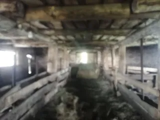 Здание телятника общей площадью 172.5 кв.м, расположенное на земельном участке площадью 1402 кв.м с кадастровым номером 21:07:020201:187. Категория земель: земли сельскохозяйственного назначения, разрешенное использование: скотоводство. Кадастровый номер здания: 21:07:020201:184, количество этажей…