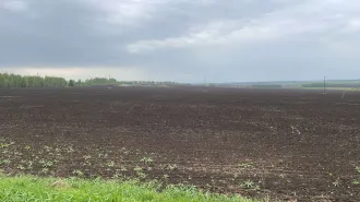 Земельный участок 1/250 доля в праве, кадастровый номер: 02:22:000000:3586, виды разрешенного использования: Для сельскохозяйственного производства, местоположение установлено относительно ориентира в границах участка, почтовый адрес ориентира: Республика Башкортостан, Дюртюлинский район…