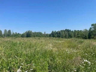 Земельный участок, площадь 622 кв.м, Ленинградская область с кадастровым номером 47:03:0905002:352, расположенный по адресу: Российская Федерация, Ленинградская область, Приозерский район, Красноозерное сельское поселение, вблизи дер. Красноозерное.