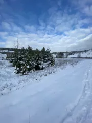 Земельный участок, площадью 1512 +/- 14 кв.м, с кадастровым номером: 66:16:2601014:182 
Расположенный по адресу: Свердловская область, Нижнесергинский район, г. Михайловск, ул. Песочная, д. 19