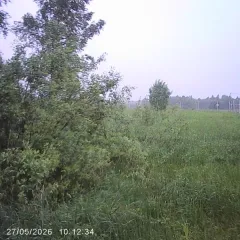 Земельный участок 600 кв.м, Московская область, Шаховская, д. Новое, категория – земли населенных пунктов, расположен по адресу: Российская Федерация, Московская область, м.о. Шаховская, д. Новое, кадастровый квартал 50:06:0090404, цель предоставления – ведение садоводства. Основной вид…