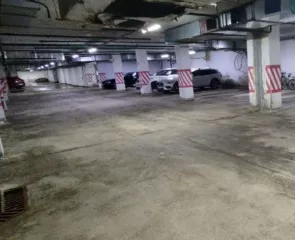 310/23894 долей в праве общей долевой собственности на нежилое помещение пом п42 (подвал № 1, подвал № 2) общей площадью 2 389,4 кв.м, кадастровый номер 52:18:0060160:85, расположенное по адресу: г.Нижний Новгород, Нижегородский район, наб.Казанская, д.5, стояночное место 75-2. Стояночное место…