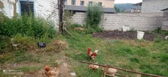 Земельный участок площадью 334 кв.м. Кабардино-Балкарская Республика, Черекский район, село Бабугент, улица Мечиева, дом 97. Назначение: земли населенных пунктов. Кадастровый номер: 07:05:0700006:211.