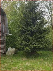 Земельный участок 902 кв.м в Тверской области, Калининский район, сельское поселение Никулинское, СНТ "Надежда", участок 7. Кадастровый номер: 69:10:0244301:7. Вид собственности: индивидуальная.