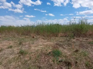 Земельный участок 1103 кв.м, Алтайский край. 1/4 доля в праве собственности на земельный участок, категория земель: земли населенных пунктов, виды разрешенного использования: для ведения личного подсобного хозяйства, кадастровый номер: 22:39:032001:12, площадь: 1103 +/- 23 кв.м., расположенный по…