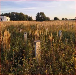 Земельный участок, общей площадью 800 кв.м., кадастровый номер: 50:36:0020216:16, расположенный по адресу: Российская Федерация, Московская область, г.о. Озеры, д. Якшино