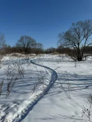 Земельный участок, площадь 1004+/11 кв.м., кадастровый (условный) номер: 27:17:0300701:882
Адрес (местонахождение): Россия, край Хабаровский, р-н Хабаровский, с Галкино, кв-л Дружный, дом 25