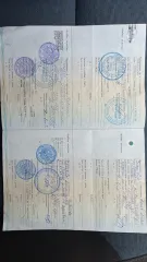 Volkswagen Jetta 2013, VIN: XW8ZZZ16ZDN00972. Ознакомление с имуществом возможно по эл. почте zudova.julie@yandex.ru.