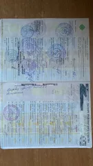 ГАЗ 330202 2004 330202 Снежно-Белый 2004 г.в. Автомобиль ГАЗ 330202, 2004 г. выпуска, (VIN) XTH33020241938835, государственный рег. знак: У298ОВ02. Получение возможности ознакомления c реализуемым имуществом с момента публикации сообщения о продаже имущества и до окончания приема заявок по…