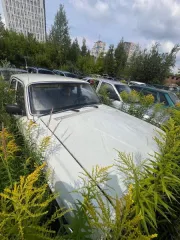 ГАЗ 2410, 1989, автомобиль марки ГАЗ 2410 государственный регистрационный номер В880ХТ 152, 1 Штука (шт), Марка: ГАЗ, Назначение: pryamie, Вид транспорта: легковые автомобили, VIN номер: информация отсутствует, Модель: 2410, Год выпуска: 1989