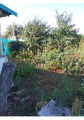 Здание 25 кв.м. и земельный участок 400 кв.м. в Саратовской обл. Нежилое помещение (здание), площадь: 25кв.м., кадастровый номер: 64:38:032101:324, земельный участок, площадь: 400кв.м., кадастровый номер: 64:38:032101:190, категория земель: земли сельскохозяйственного назначения, вид разрешенного…