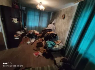 1/2 доли квартиры, 30.6 м², г. Орел, Орловская область. Жилое помещение, кадастровый номер 57:25:0030404:499, местонахождение: Орловская обл., г. Орел, ул. Советская, д. 75, кв. 17, площадь: 30.6, вид права, доля в праве: общая долевая собственность ½