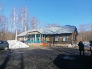 Здание школы нежилое площадью 554,9 кв.м, 1 этаж, кадастровый номер 33:06:110401:122. Интернат нежилой площадью 231,7 кв.м, 1 этаж, кадастровый номер 33:06:110401:125. Здание котельной нежилое площадью 39,7 кв.м, 1 этаж, кадастровый номер 33:06:110401:117. Артскважина, сарай деревянный, сарай…