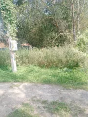 Земельный участок в Московской обл., 600 кв.м. Земельный участок Кадастровый номер: 50:25:0030419:135 Назначение объекта недвижимости: данные отсутствуют Виды разрешенного использования объекта недвижимости: Для ведения садоводства Местоположение: обл. Московская, р н Шатурский, Садоводческое…