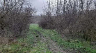 Земельный участок площадью 504 кв.м. Кадастровый номер 26:11:030901:631. Адрес: Ставропольский край, Шпаковский район, х. Нижнерусский, пер. Грибной, 13. Категория земель: земли населенных пунктов. Виды разрешенного использования: для индивидуального жилищного строительства и ведения личного…