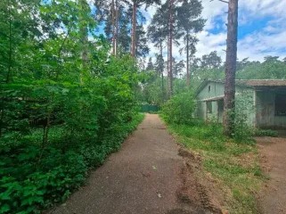 Недвижимость 353,7 м² и участок 6008 м², Московская область: продажа находящегося в федеральной собственности объекта недвижимого имущества площадью 353,7 кв. метра (кадастровый номер 50:20:0000000:43464), по адресу: Российская Федерация, Московская область, г.о. Одинцовский, п. Сосны, тер…