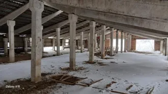 Нежилые здания и земельный участок в Алтайском крае. Нежилое здание (кадастровый номер 22:36:330005:1701), нежилое здание (кадастровый номер 22:36:330005:1702), нежилое здание (кадастровый номер 22:36:330005:1703), земельный участок (кадастровый номер 22:36:330005:1700). Техническое состояние…