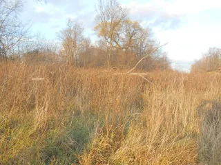 Земельный участок площадью 1500 кв.м, ½ доли в праве общей долевой собственности. Кадастровый номер 33:06:071301:181. Местоположение: Владимирская область, Камешковский район, сельское поселение Сергеихинское, село Фомиха. Категория земель: земли населенных пунктов. Вид разрешенного использования…