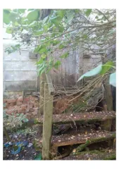 Два дома 52 м² и участки 1000 м² в Воронежской области. Земельный участок, общей площадью 1000 м2, кадастровый (условный) номер: 36:02:3600044:79. Жилой дом, площадью 52 м2, кадастровый (условный) номер: 36:02:3600044:122, расположенные по адресу: Воронежская область, Бобровский р-н, с. Хреновое…