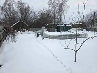 Земельный участок, 605 кв.м, Брянская область. Кадастровый (условный) номер: 32:31:0060305:5, адрес (местонахождение): Российская Федерация, Брянская область, городской округ Новозыбковский, город Новозыбков, улица Тургенева, дом 42, вид собственности: индивидуальная.