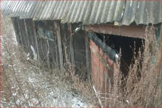 Дом 69,7 кв.м. и участок 4100 кв.м., Пензенская область. Жилое здание, площадь: 69,7кв.м., кадастровый номер: 58:08:0600401:162 и земельный участок, площадь: 4 100кв.м., категория земель: Земли населенных пунктов, разрешенное использование: Для ведения личного подсобного хозяйства, кадастровый…